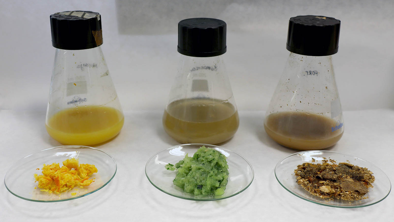 TENE obtiene biopolímeros a partir de residuos de pieles de naranja