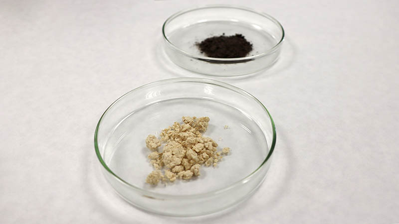 Biopolímeros de quitina
