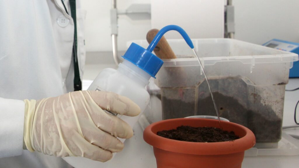 Ensayo de ecotoxicidad realizado en los laboratorios de ITENE