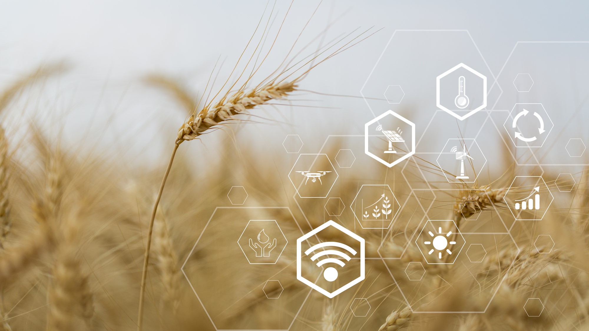 Digitalización de la agricultura